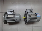 SIEMENS原裝1FT6102-1AC71-4EG1進(jìn)口