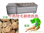 牛蒡毛輥清洗機--中草藥加工車間
