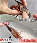 上海超聲波清洗機(jī)，上海龍蝦店專用超聲波龍蝦清洗機(jī)