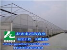 智能溫室  薄膜連棟智能溫室   壽光市萬禾農業