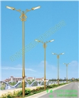 邢臺(tái)新款太陽能路燈，廠家直銷邢臺(tái)路燈，邢臺(tái)路燈價(jià)格匯總