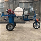 供應(yīng)四輪打藥機 小型自走式噴霧器 打藥機廠家